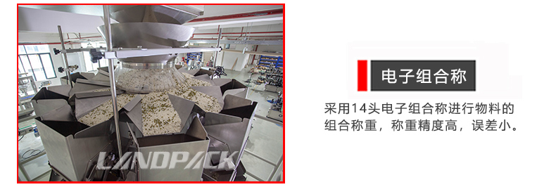 14頭電子組合稱 14頭電子組合稱